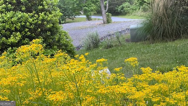 82 Jay Bird Way, Hayesville, NC 28904