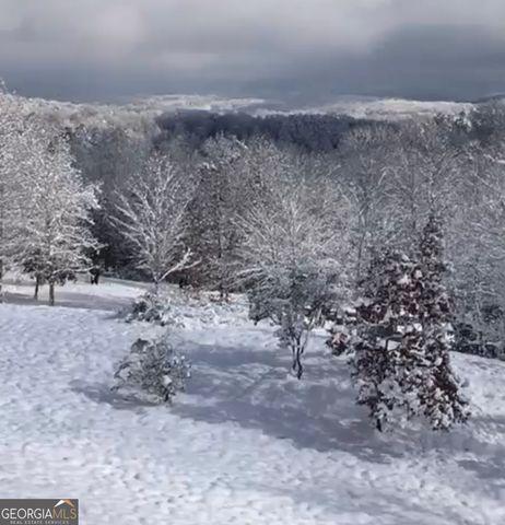 82 Jay Bird Way, Hayesville, NC 28904
