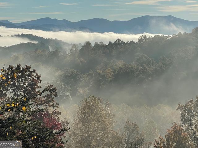 82 Jay Bird Way, Hayesville, NC 28904