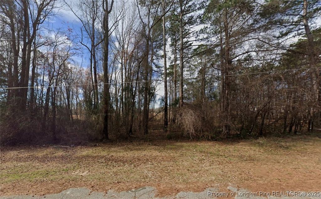 0 S Wilkinson Drive, St Pauls, NC 28384