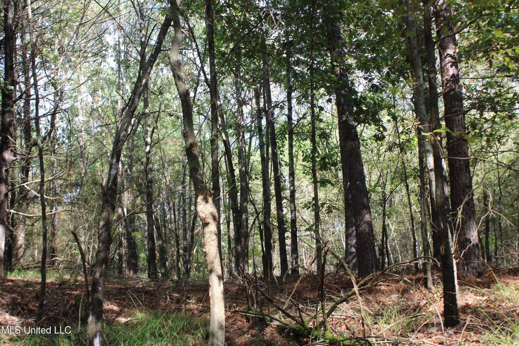 6 Old Byhalia Road, Byhalia, MS 38611 — photo 4