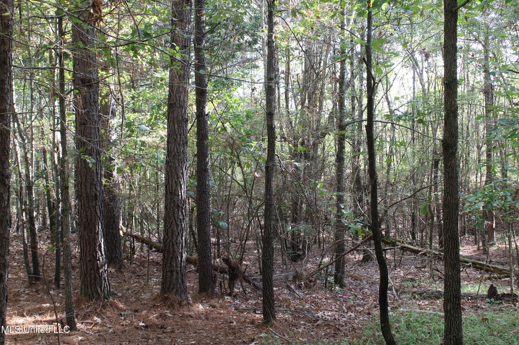 6 Old Byhalia Road, Byhalia, MS 38611 — photo 5