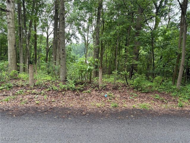 2077 Coleman Avenue, Akron, OH 44312