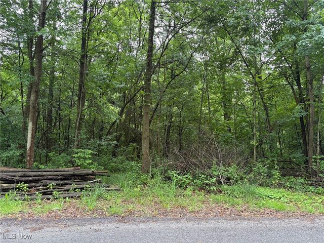 2077 Coleman Avenue, Akron, OH 44312