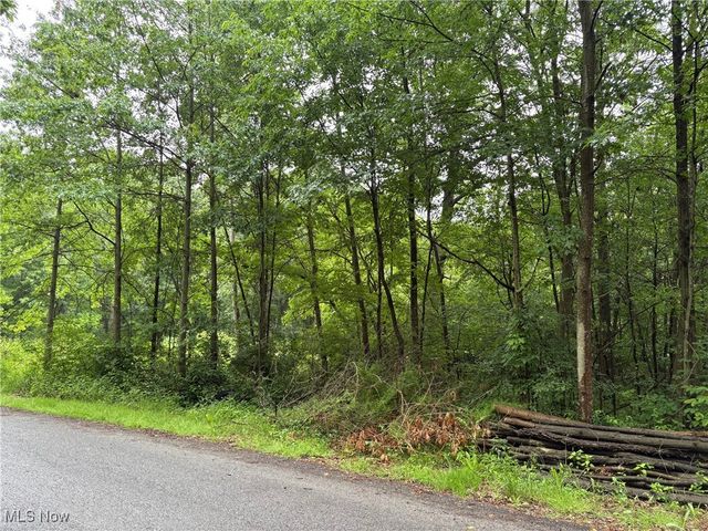 2077 Coleman Avenue, Akron, OH 44312