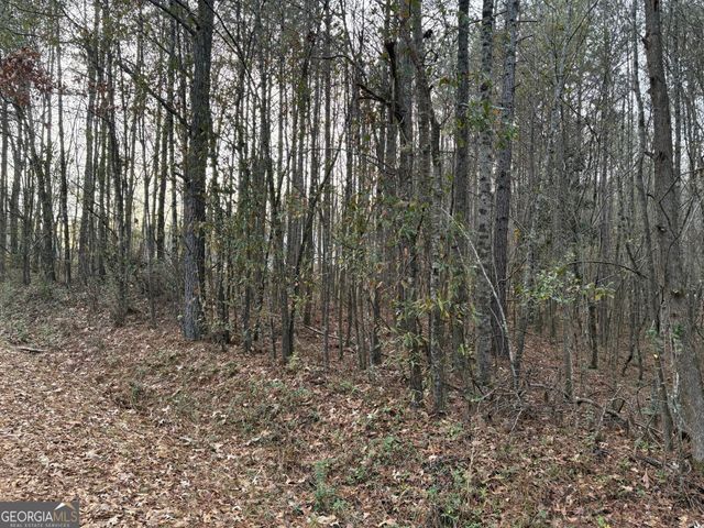 245 Buck Smith Road, Hogansville, GA 30230