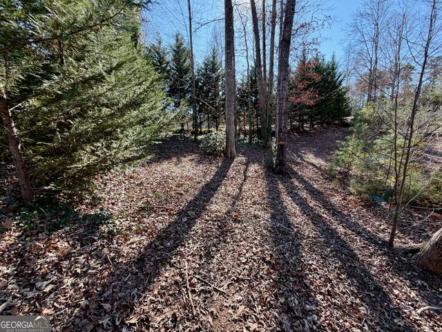485 Imperial Drive, Martin, GA 30557