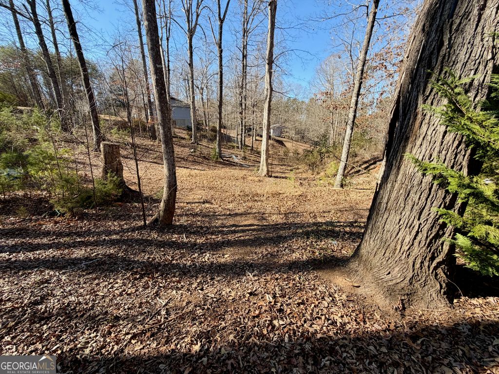 485 Imperial Drive, Martin, GA 30557