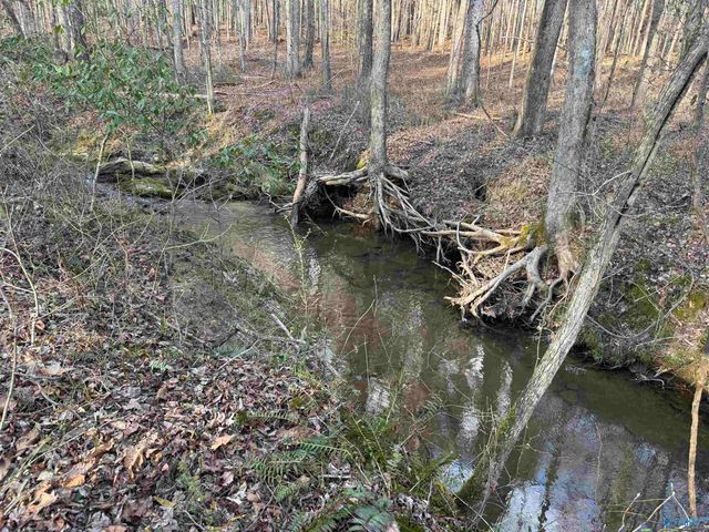 930 County Road 361, Fort Payne, AL 35967