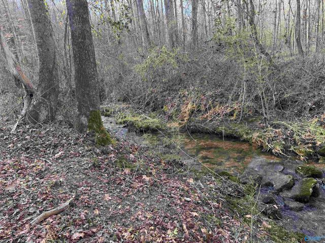 930 County Road 361, Fort Payne, AL 35967