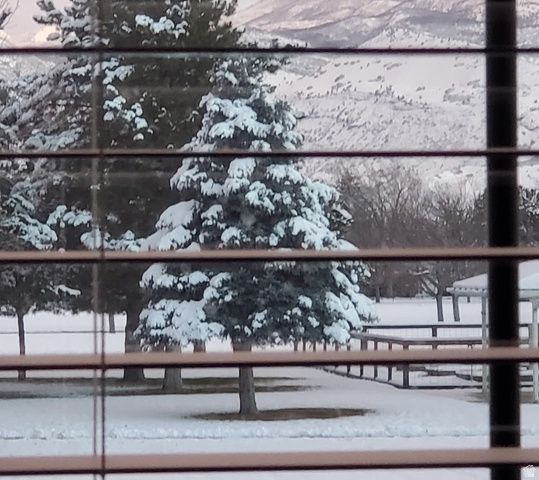 442 W 230 N, Orem, UT 84057