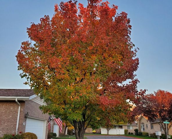 442 W 230 N, Orem, UT 84057