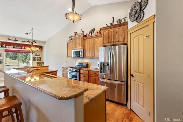 1310 Longs Point, Woodland Park, CO 80863