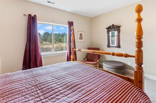 1310 Longs Point, Woodland Park, CO 80863