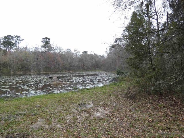 TBD Rainey Run, Monticello, FL 32344