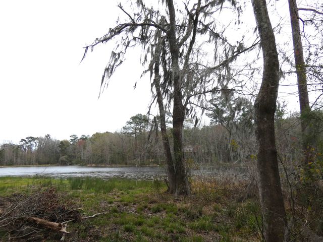 TBD Rainey Run, Monticello, FL 32344