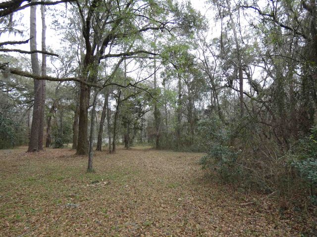 TBD Rainey Run, Monticello, FL 32344