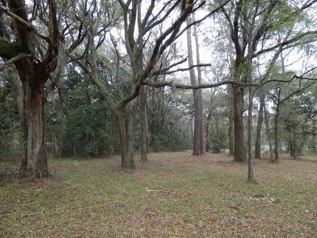 TBD Rainey Run, Monticello, FL 32344