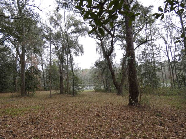TBD Rainey Run, Monticello, FL 32344