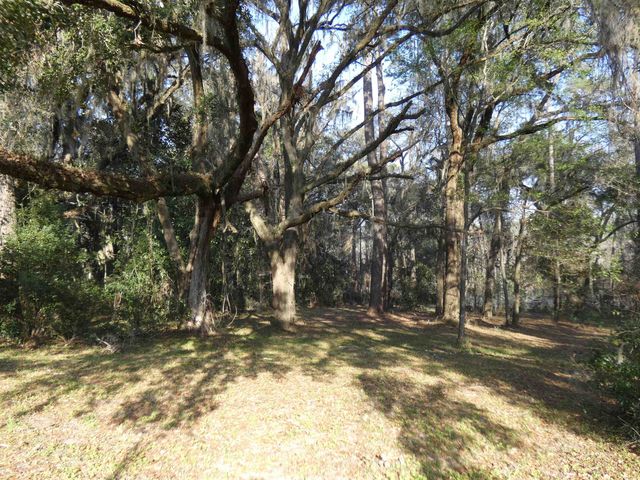 TBD Rainey Run, Monticello, FL 32344