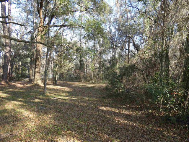 TBD Rainey Run, Monticello, FL 32344