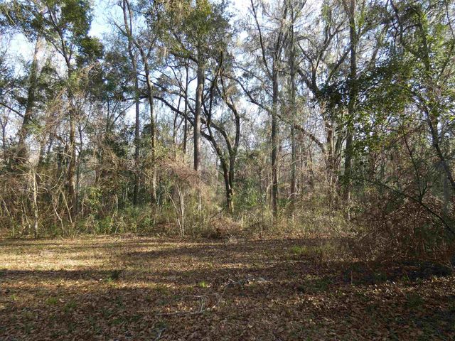 TBD Rainey Run, Monticello, FL 32344