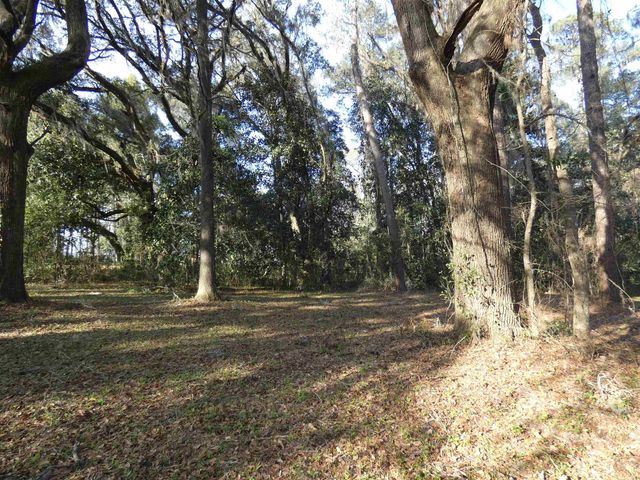 TBD Rainey Run, Monticello, FL 32344