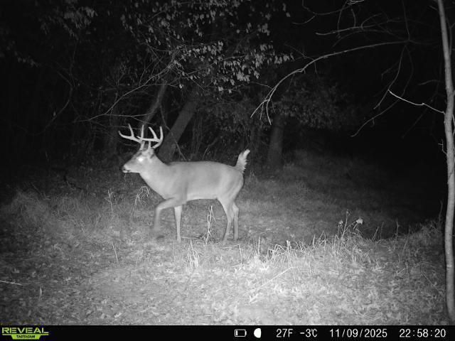 543 60th Street NE, Buffalo, MN 55313