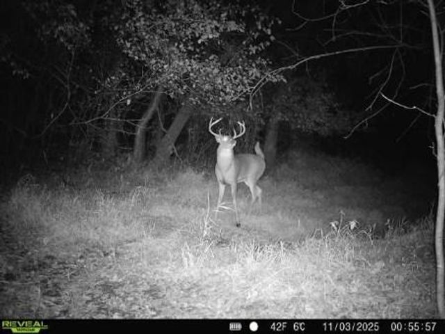 543 60th Street NE, Buffalo, MN 55313