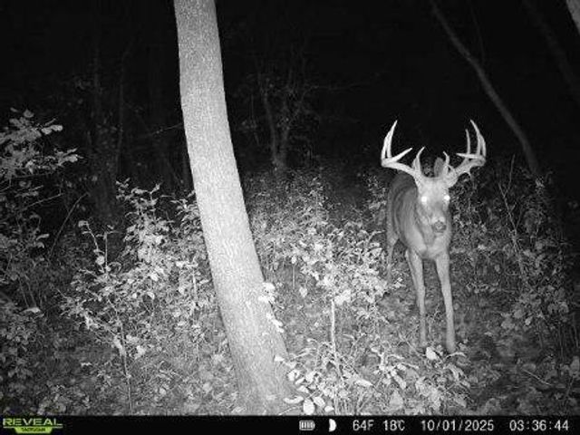 543 60th Street NE, Buffalo, MN 55313