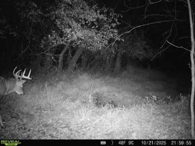 543 60th Street NE, Buffalo, MN 55313