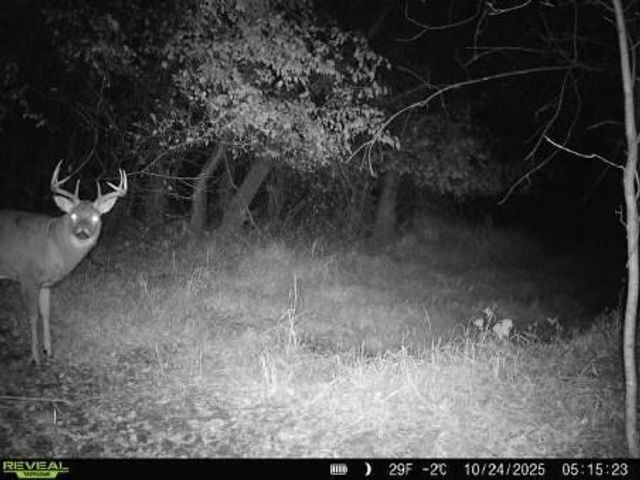 543 60th Street NE, Buffalo, MN 55313