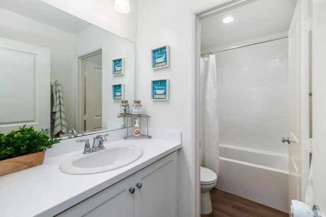 203 Silver Fir Court, Vista, CA 92083