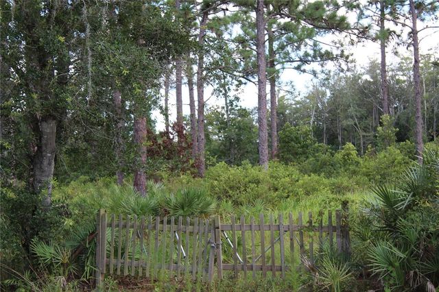 DOLPHIN CIRCLE, Orlando, FL 32833