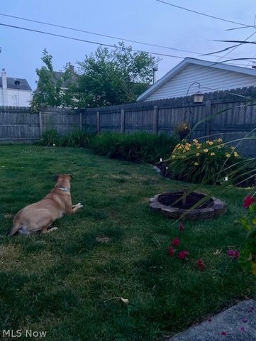 119 Cornell Avenue, Elyria, OH 44035