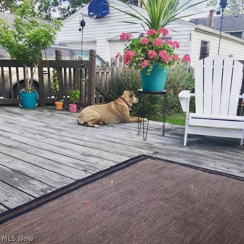 119 Cornell Avenue, Elyria, OH 44035