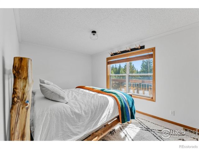 162 S Silk Sisters Place, Fairplay, CO 80440