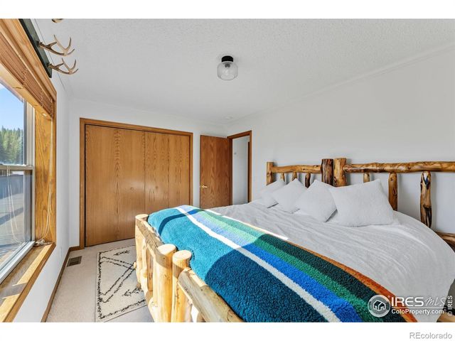 162 S Silk Sisters Place, Fairplay, CO 80440