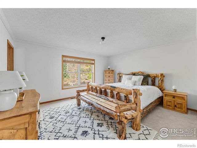 162 S Silk Sisters Place, Fairplay, CO 80440