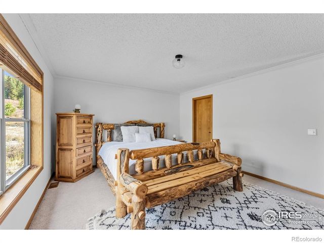 162 S Silk Sisters Place, Fairplay, CO 80440