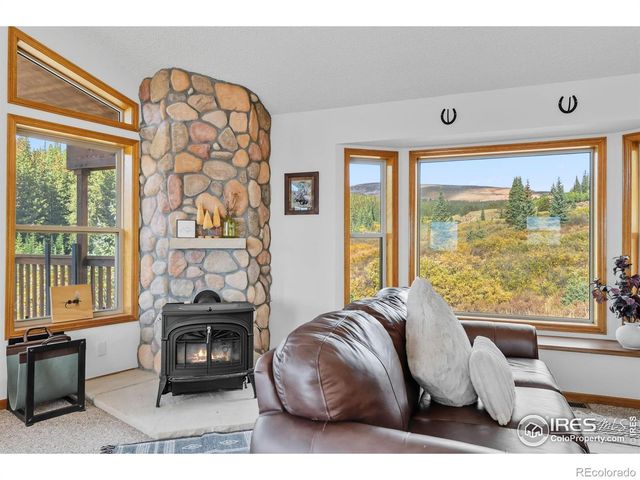 162 S Silk Sisters Place, Fairplay, CO 80440