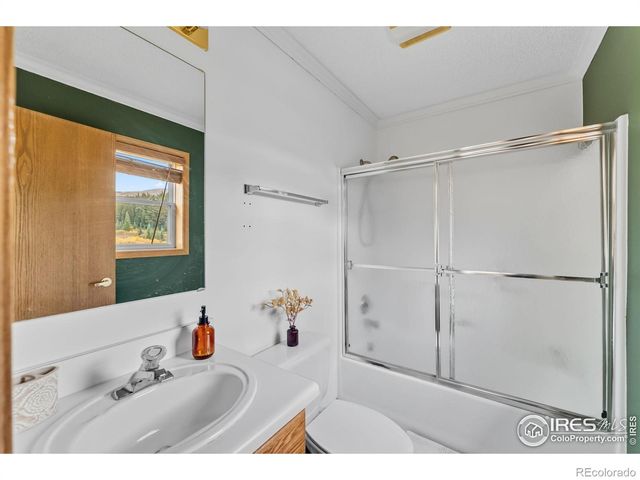 162 S Silk Sisters Place, Fairplay, CO 80440