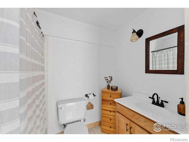 162 S Silk Sisters Place, Fairplay, CO 80440