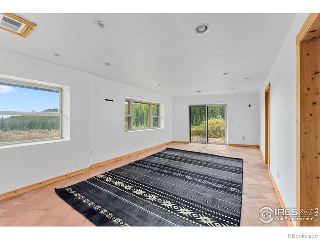 162 S Silk Sisters Place, Fairplay, CO 80440