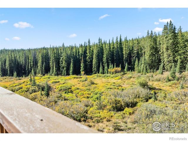 162 S Silk Sisters Place, Fairplay, CO 80440