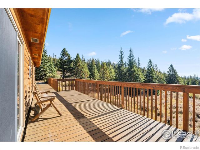 162 S Silk Sisters Place, Fairplay, CO 80440