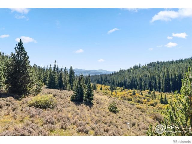 162 S Silk Sisters Place, Fairplay, CO 80440