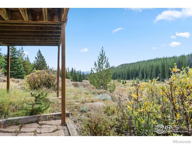 162 S Silk Sisters Place, Fairplay, CO 80440