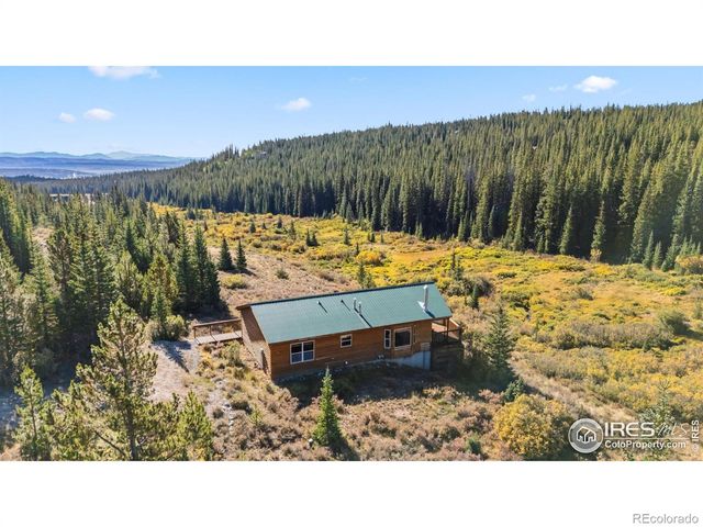 162 S Silk Sisters Place, Fairplay, CO 80440