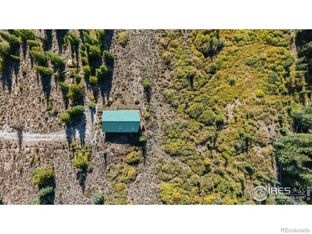 162 S Silk Sisters Place, Fairplay, CO 80440